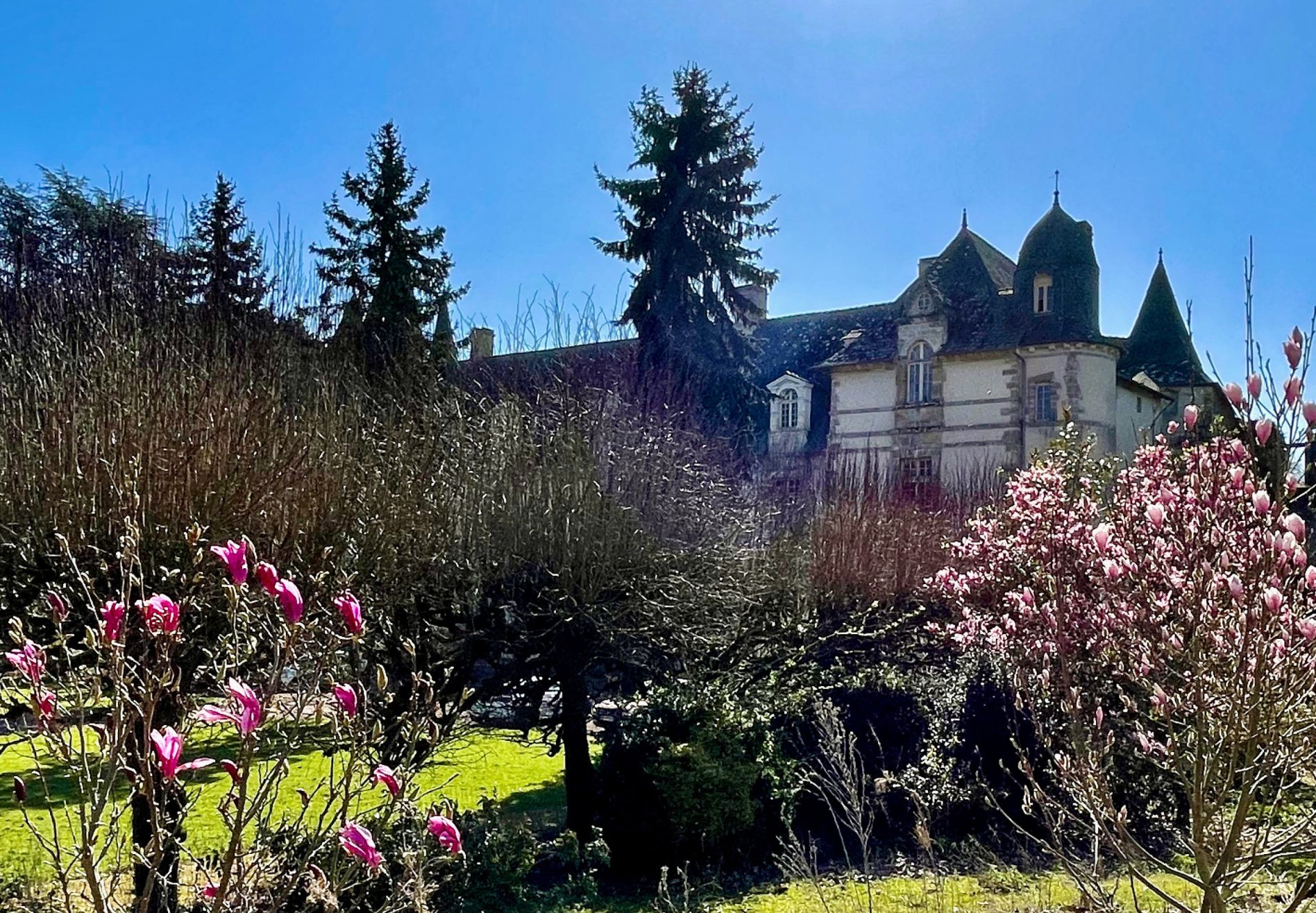 château 15 pièces en vente sur RENNES (35000) château 15 pièces en vente sur RENNES (35000)