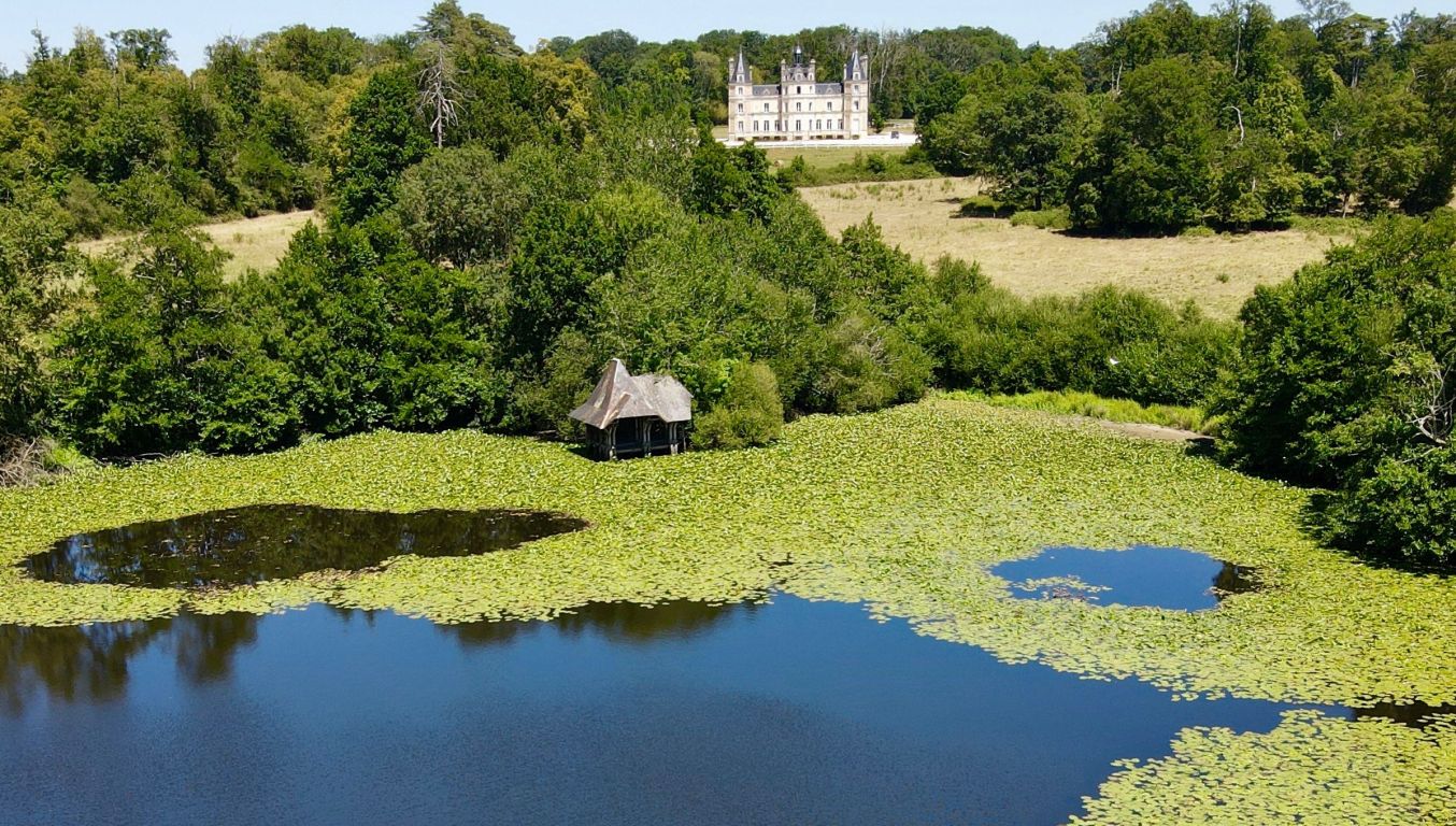 château 13 pièces en vente sur MONTILLIERS (49310)