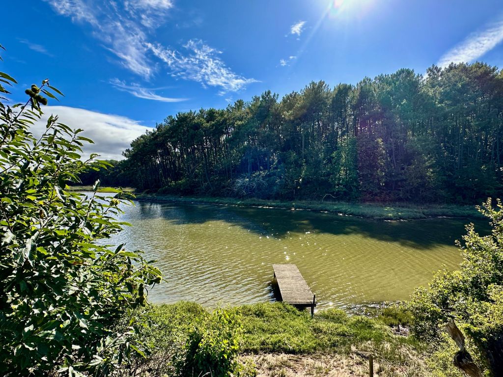 maison 7 pièces en vente sur AURAY (56400)