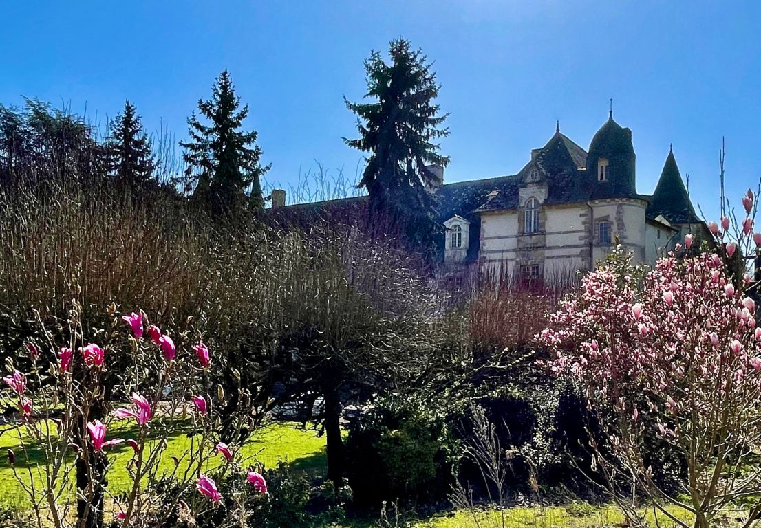 château 15 pièces en vente sur RENNES (35000)