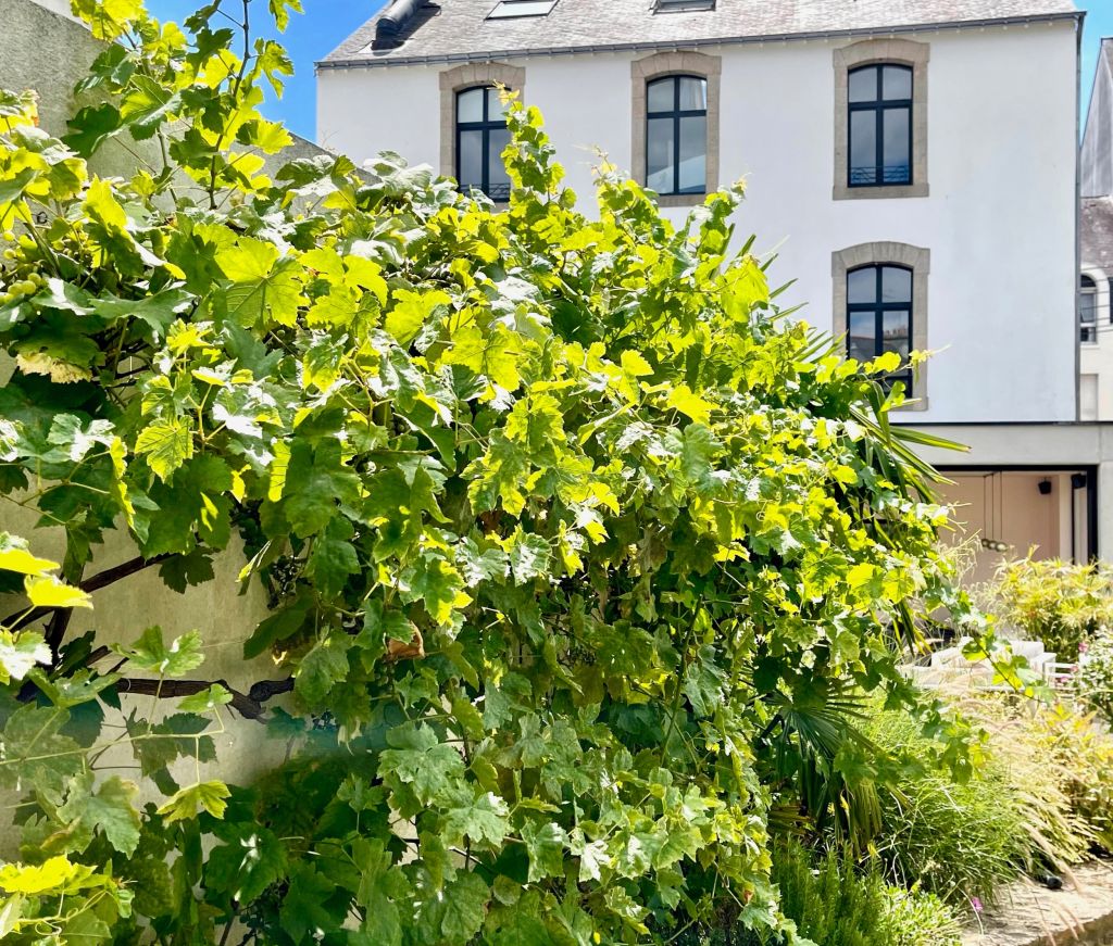 maison de maître 12 pièces en vente sur VANNES (56000)
